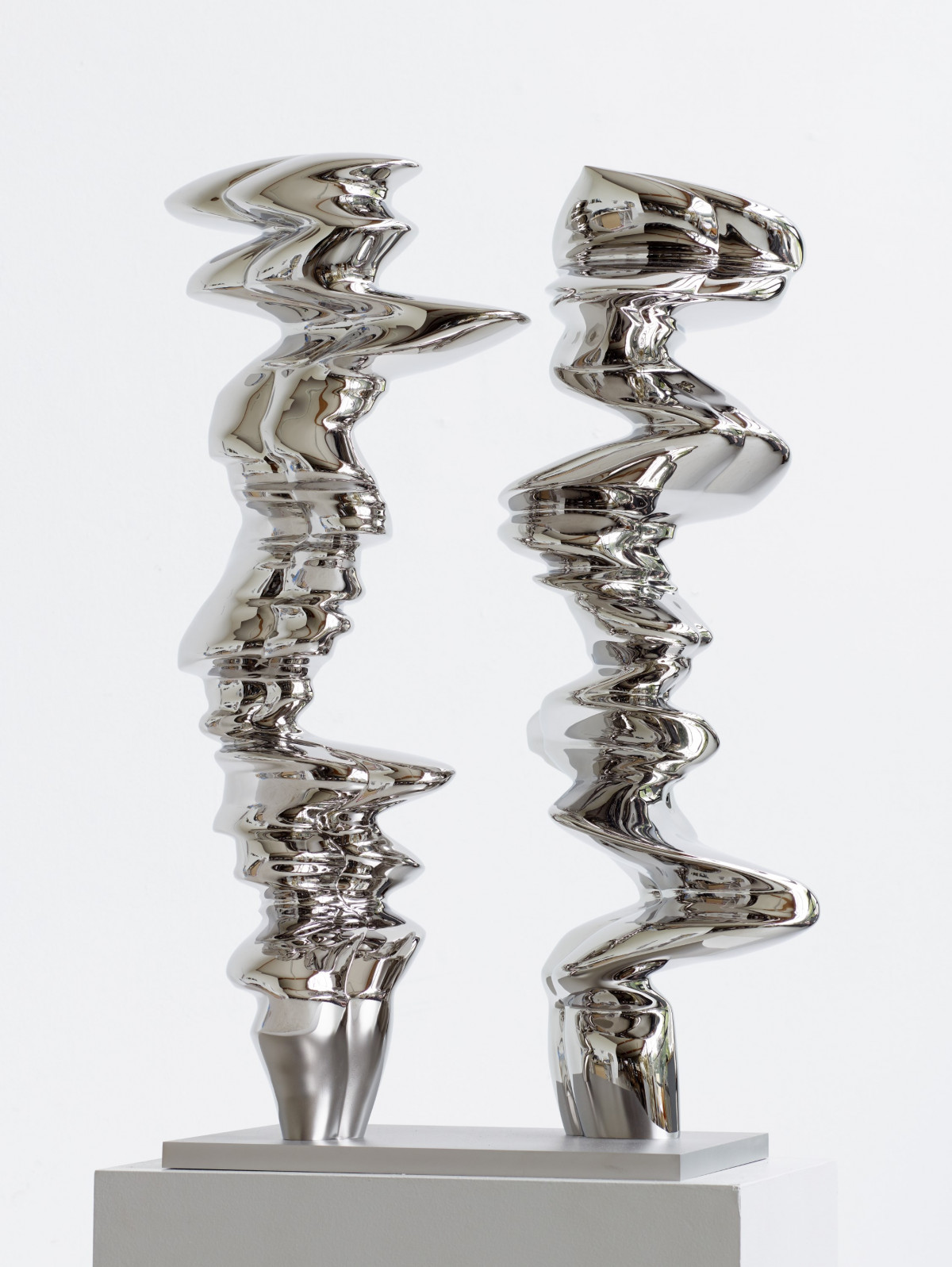 Tony Cragg, ‘Near Relatives’, 2022, Stainless steel